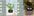 Smart Planter Endless Fun Over 49 Rich Expressions 7 Smart Sensors And AI Chips Make Raising Plants Easy And Fun