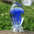 Jellyfish Lamp
