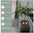 Smart Planter Endless Fun Over 49 Rich Expressions 7 Smart Sensors And AI Chips Make Raising Plants Easy And Fun