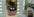 Smart Planter Endless Fun Over 49 Rich Expressions 7 Smart Sensors And AI Chips Make Raising Plants Easy And Fun