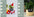 Smart Planter Endless Fun Over 49 Rich Expressions 7 Smart Sensors And AI Chips Make Raising Plants Easy And Fun