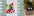 Smart Planter Endless Fun Over 49 Rich Expressions 7 Smart Sensors And AI Chips Make Raising Plants Easy And Fun