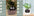 Smart Planter Endless Fun Over 49 Rich Expressions 7 Smart Sensors And AI Chips Make Raising Plants Easy And Fun