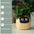 Smart Planter Endless Fun Over 49 Rich Expressions 7 Smart Sensors And AI Chips Make Raising Plants Easy And Fun